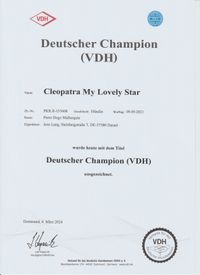 Deutscher Champion VDH