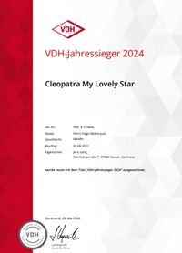 Jahressieger2024_1