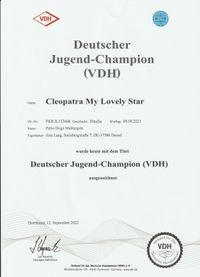 Jugend-Champion VDH